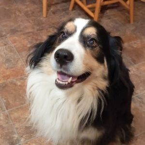 Meet your Posher, Janie